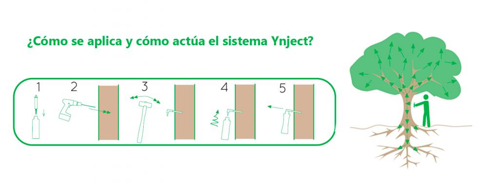 Cómo aplicar y cómo actúa Ynject