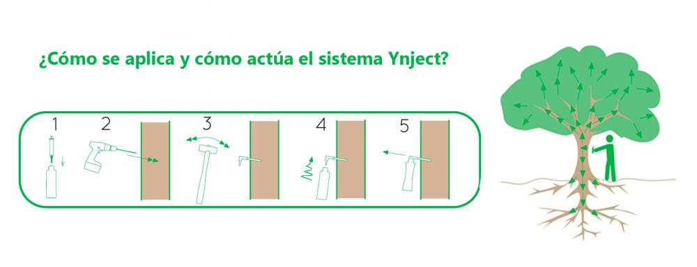 Cómo aplicar y cómo actúa Ynject