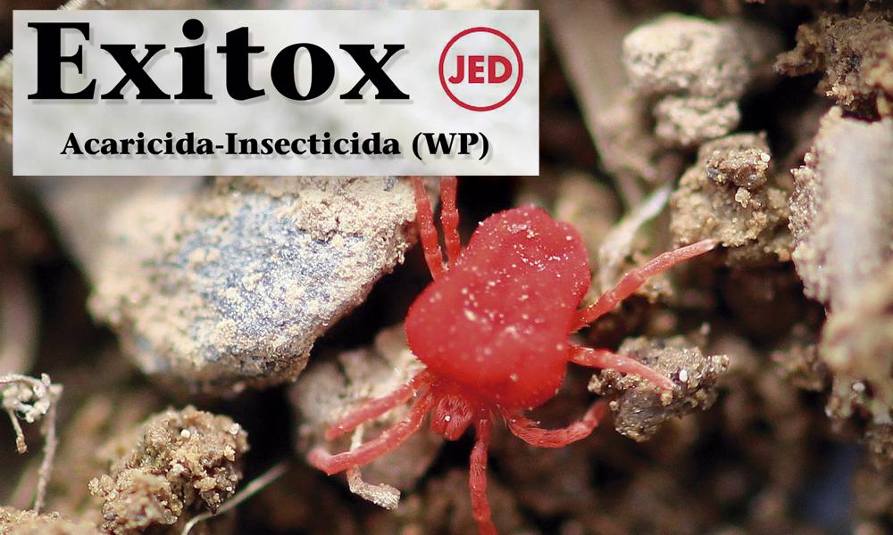 Nuevo insecticida-acaricida Exitox de Massó 