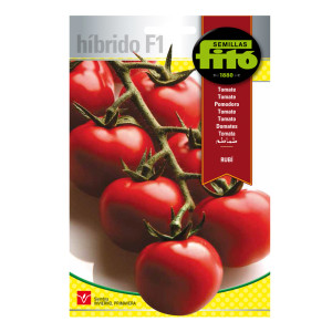 Tomato Rubí Híbrida Fitó
