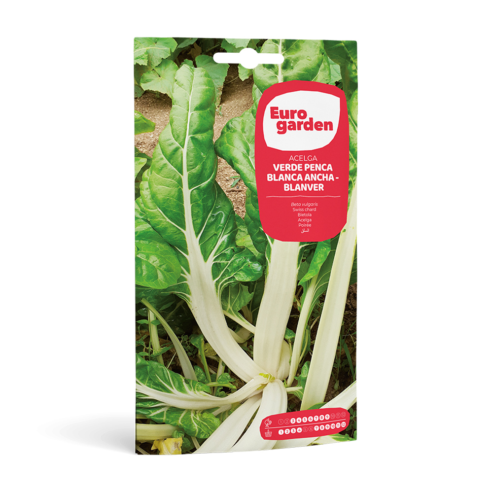 Bleda Verde Penca Blanca Ancha - Blanver 10 g Eurogarden -17316000