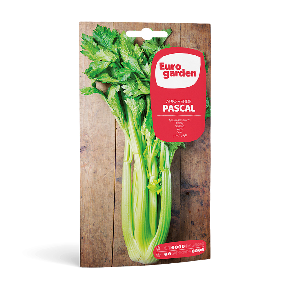 Api Verd Pascal 3 g Eurogarden -17317000