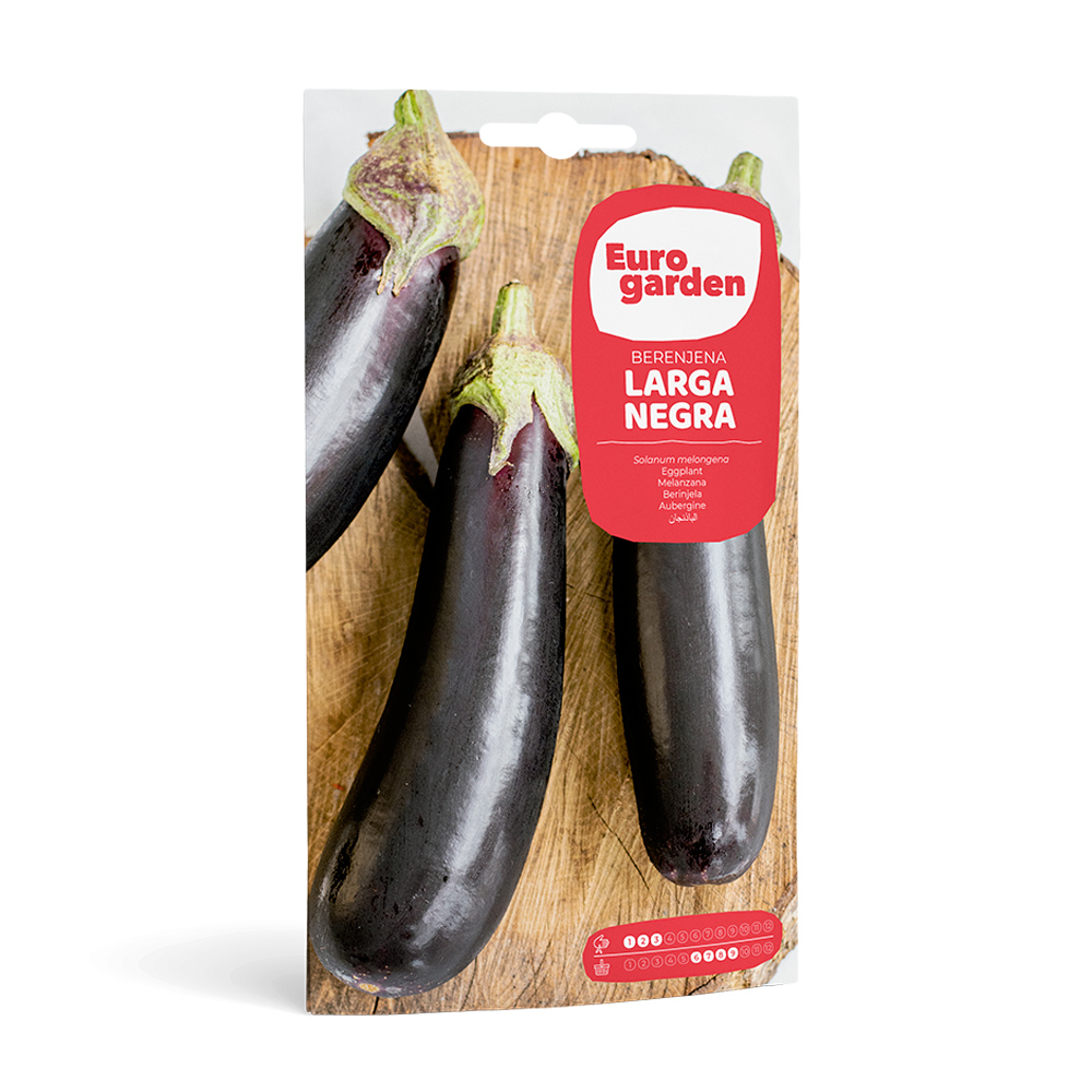 Albergínia Larga Negra 3 g Eurogarden -17318000