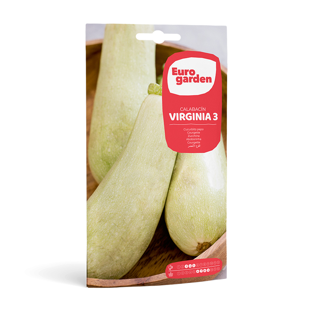 Carbassó Virginia 3 5 g Eurogarden -17320000