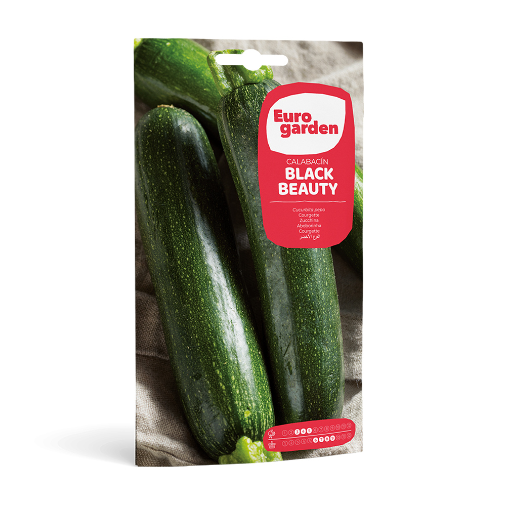 Carbassó Black Beauty 10 g Eurogarden -17321000