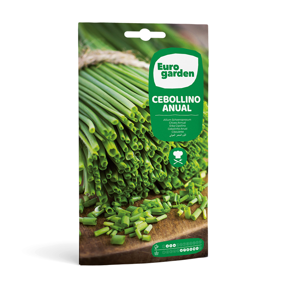 Cibulet Anual 2 g Eurogarden -17329000