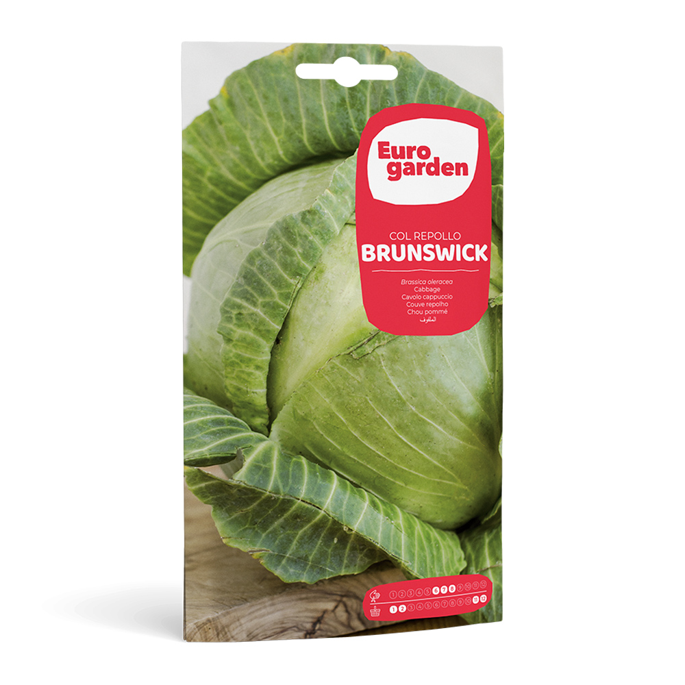 Col Repollo Brunswick 6 g Eurogarden -17333000