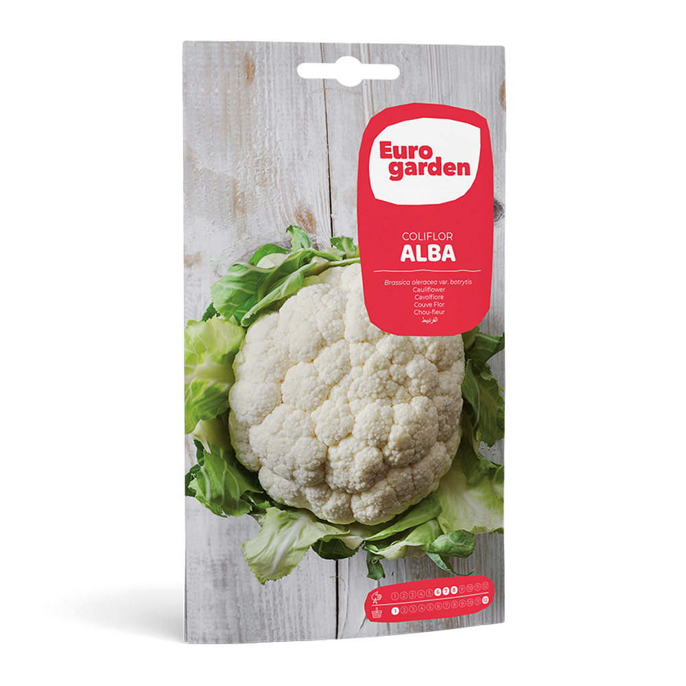 Coliflor Alba 3 g Eurogarden -17335000
