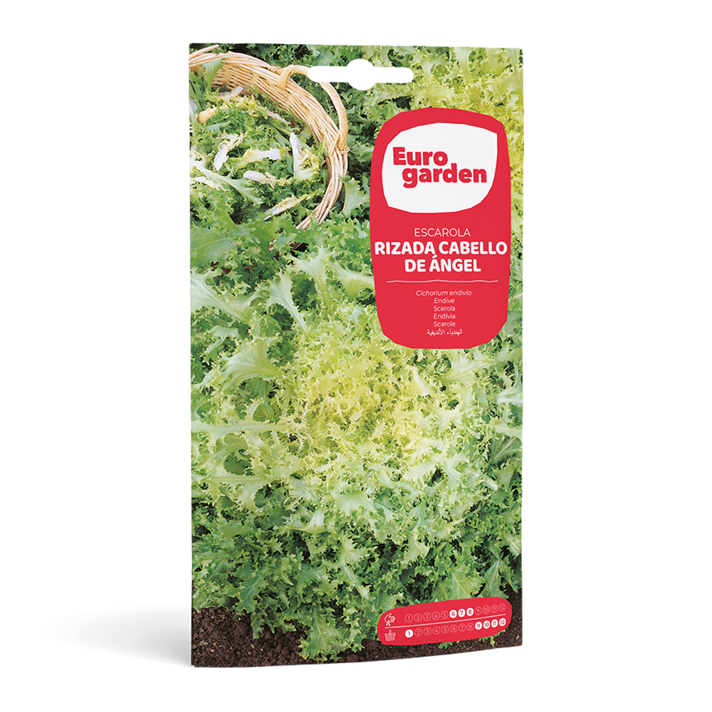 Escarola Rizada Cabello de Ángel 6 g Eurogarden -17336000