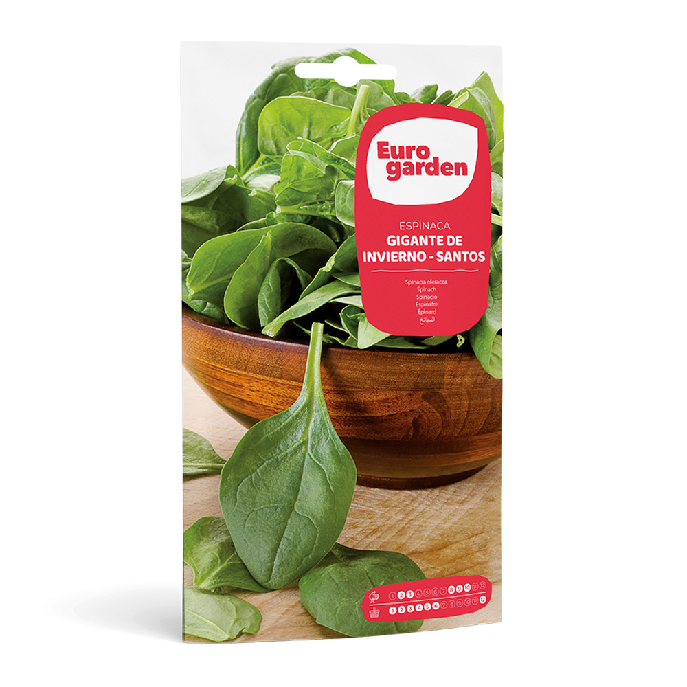 Espinac Gigante de Invierno - Santos 15 g Eurogarden -17338000