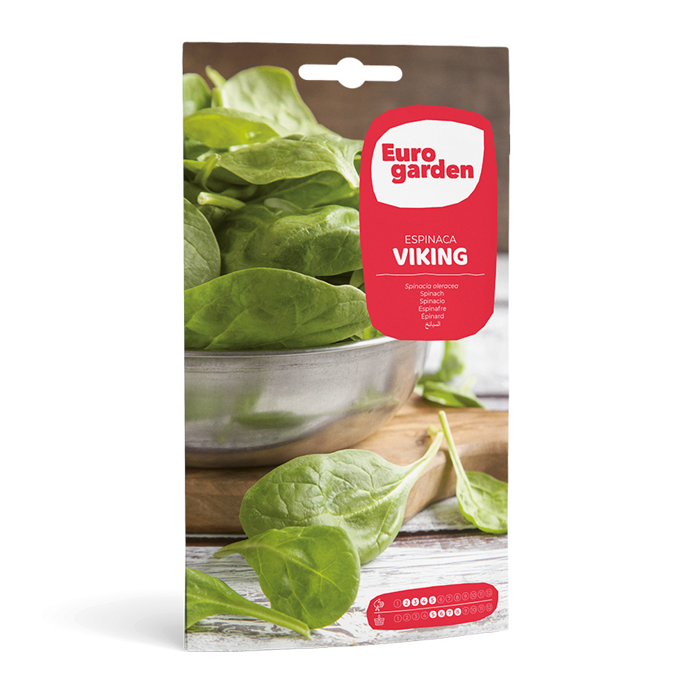 Espinac Viking 15 g Eurogarden -17339000