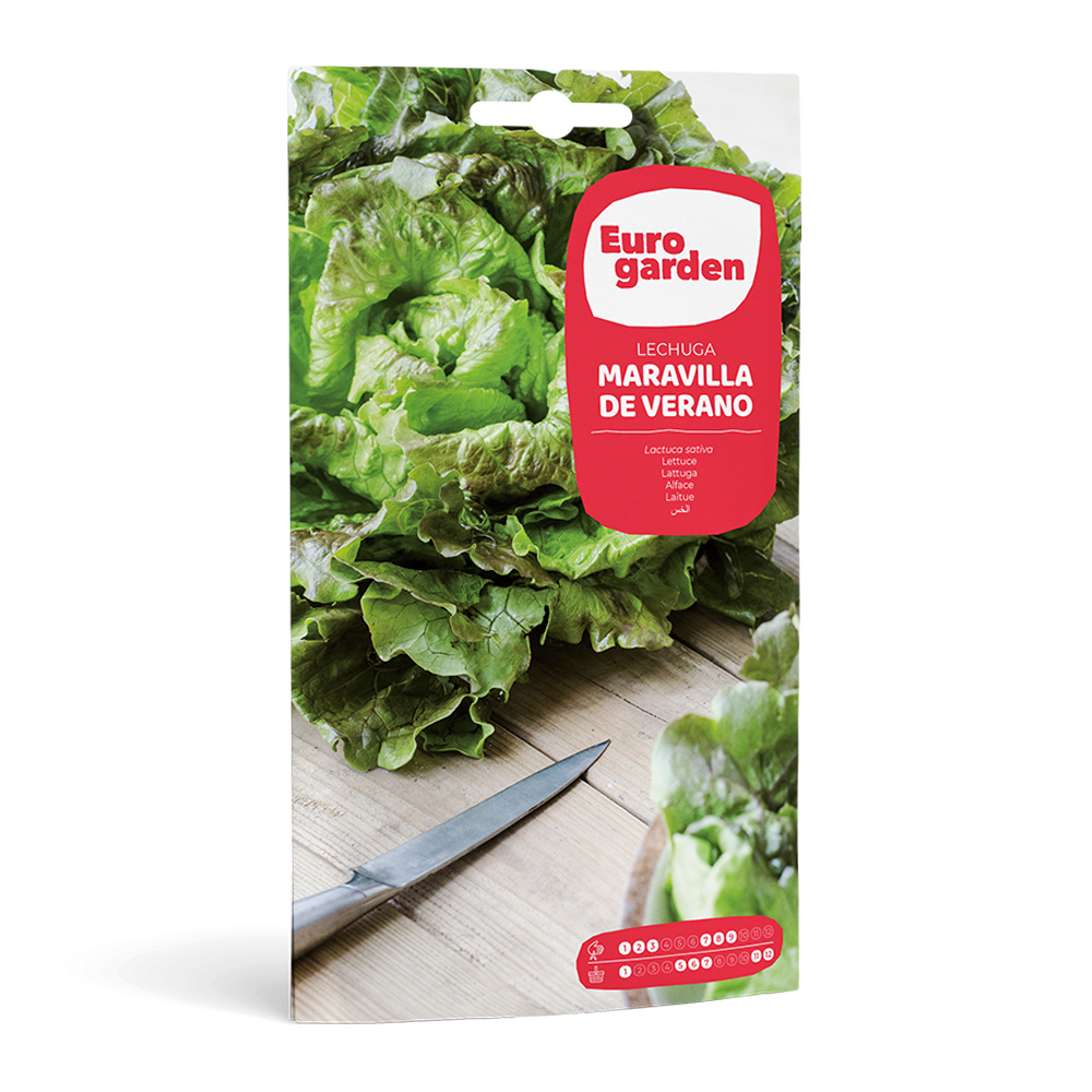 Lechuga Maravilla de Verano 5 g Eurogarden -17344000