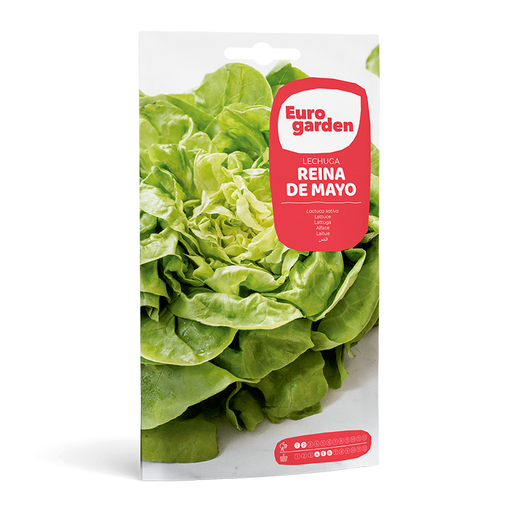 Lechuga Reina de Mayo 5 g Eurogarden -17345000