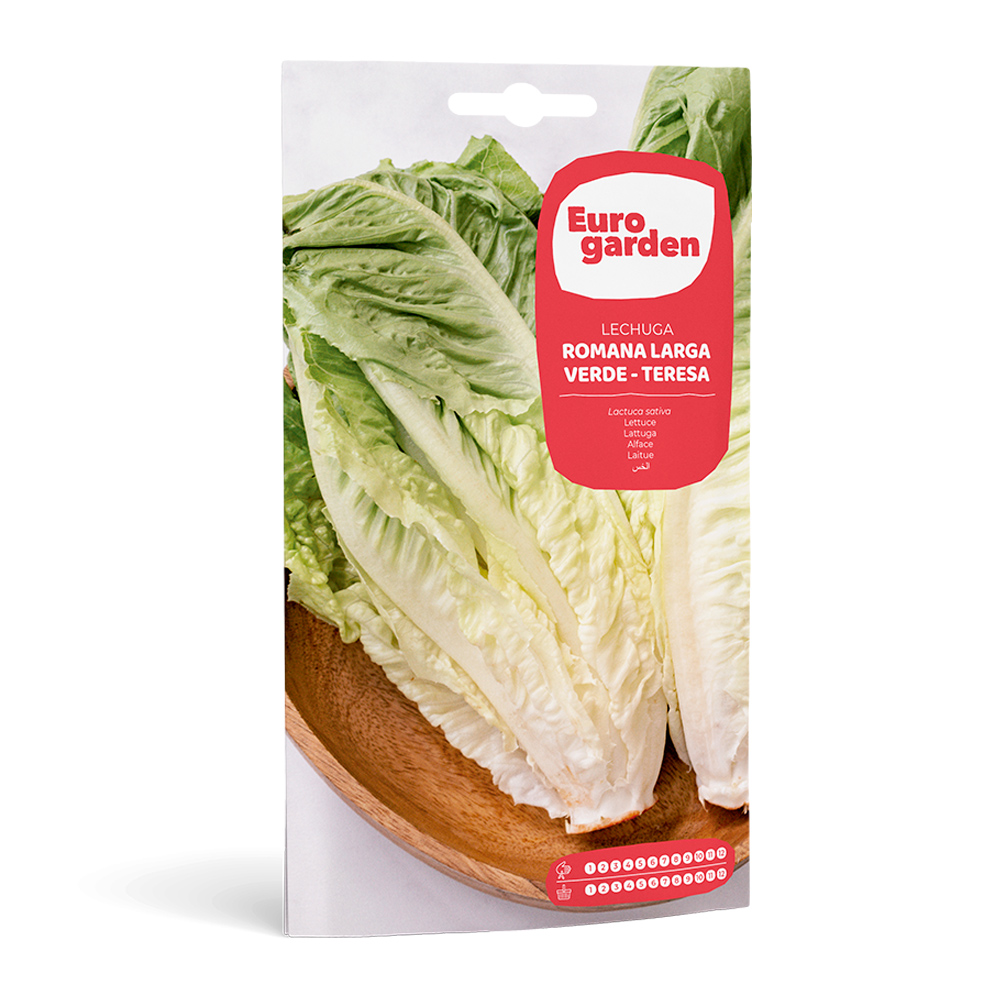 Lechuga Larga Verde - Teresa 5 g Eurogarden -17346000