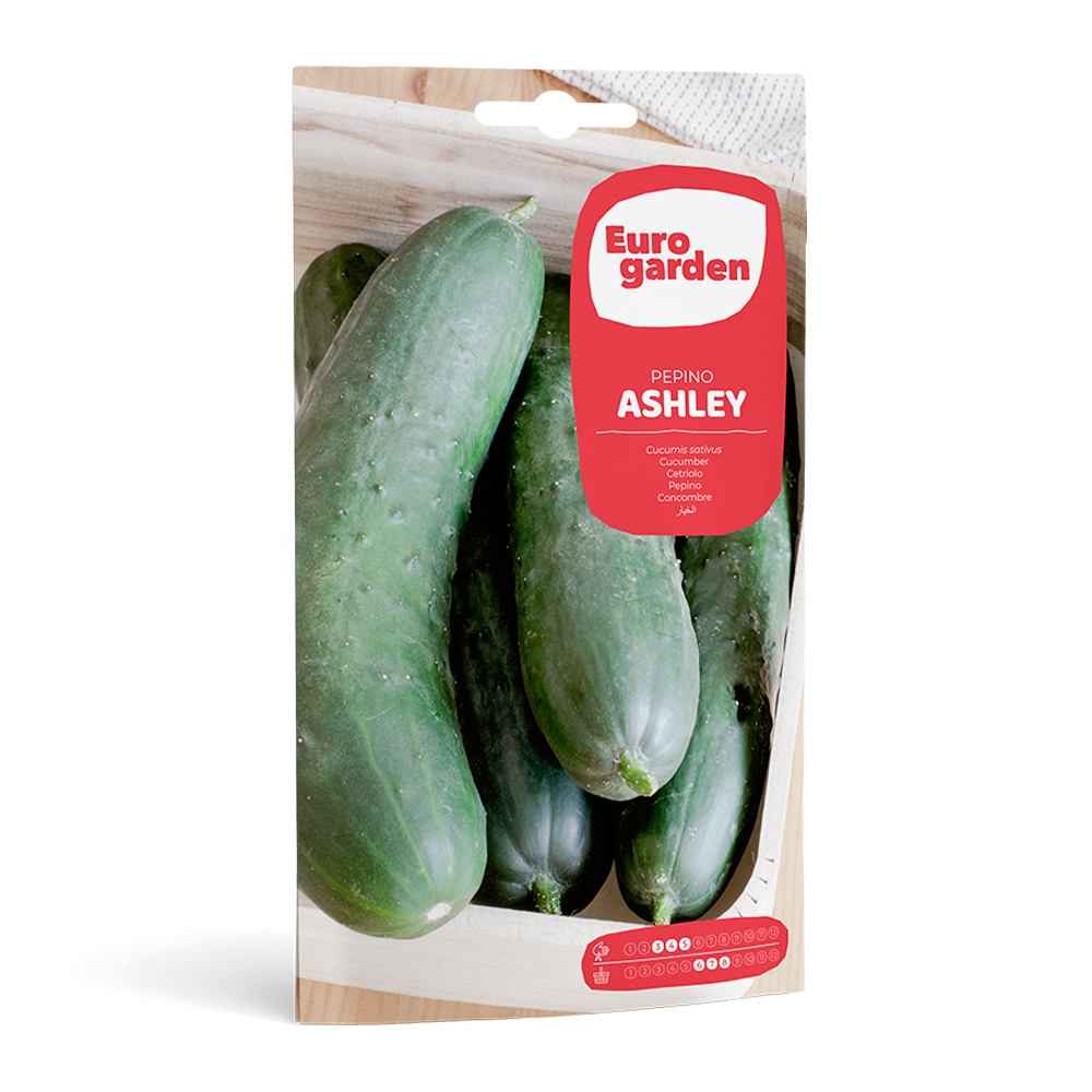 Cogombre Ashley 6 g Eurogarden -17357000