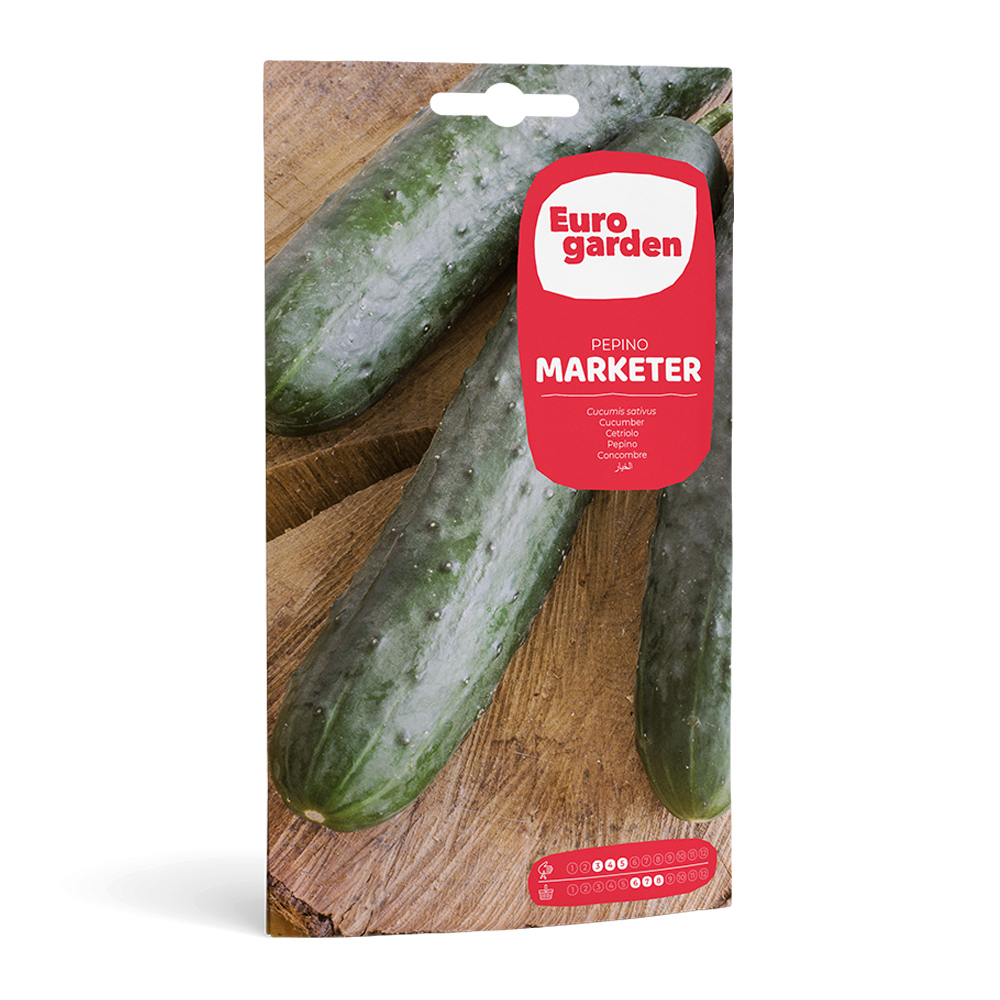 Cogombre Marketer 6 g Eurogarden -17358000
