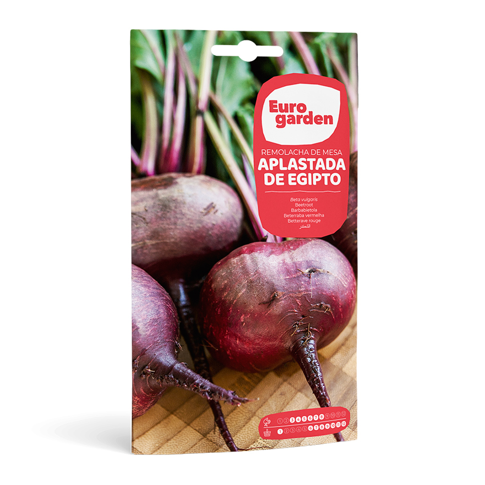 Remolatxa Aplastada de Egipto 10 g Eurogarden -17369000