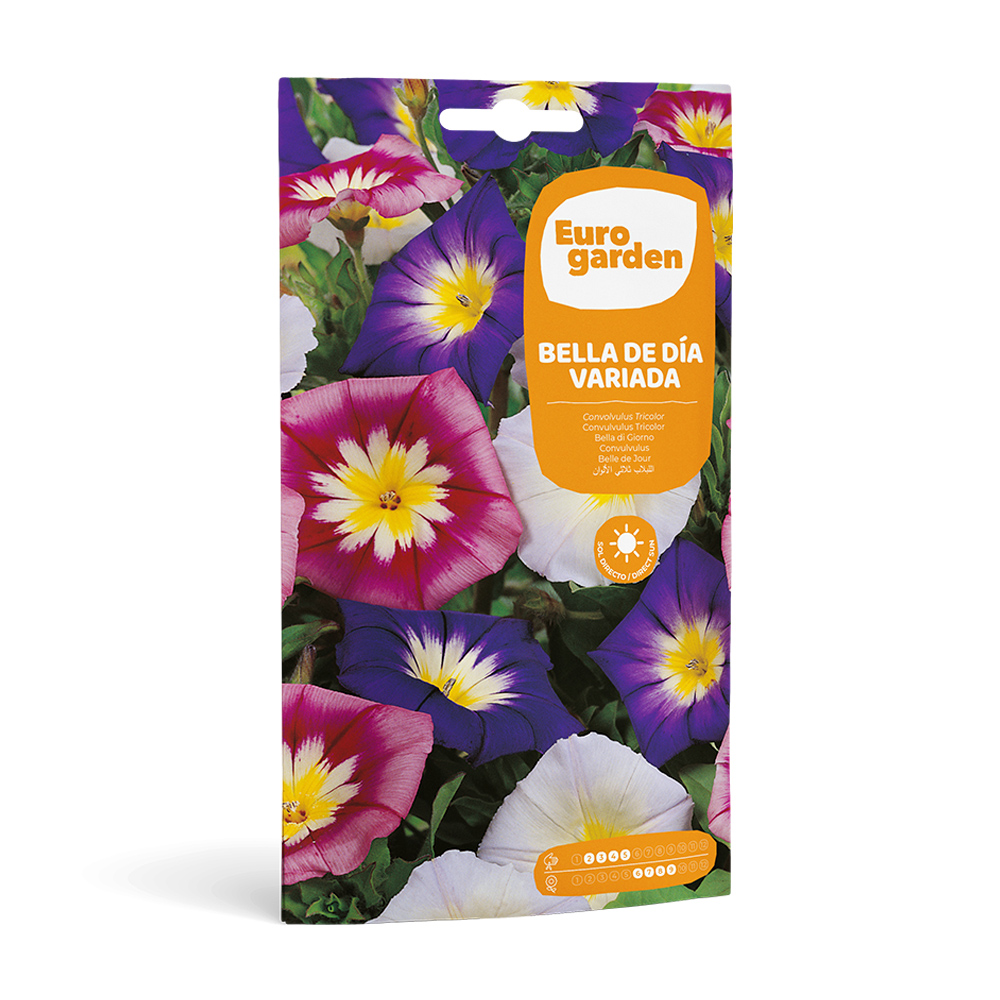 Bella de Día Variada 6 g Eurogarden -17387000