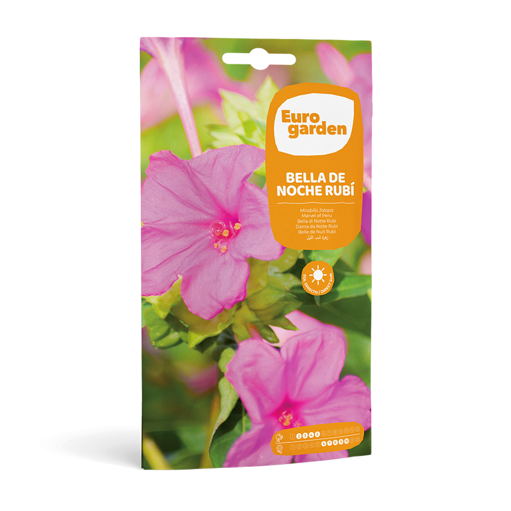Bella de Noche Rubí Eurogarden -17388000