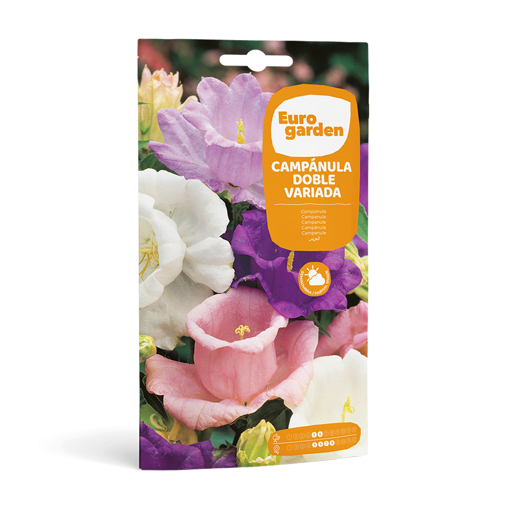 Campànula Doble Variada 1 g Eurogarden -17391000