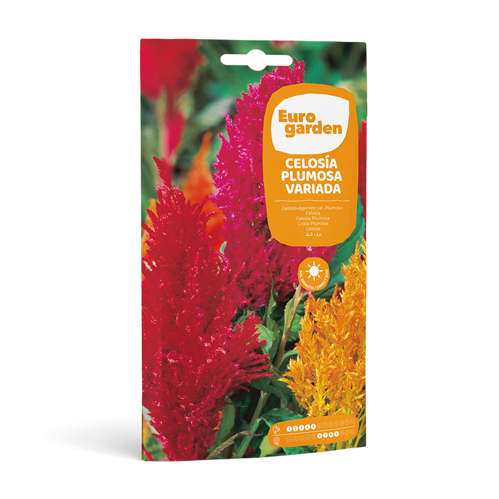 Celosía Plumosa Variada 1,5 g Eurogarden -17394000