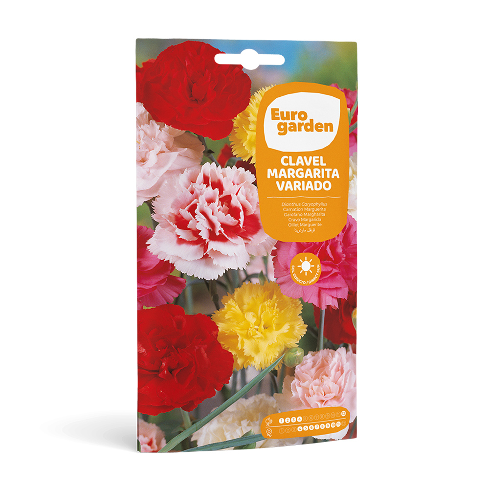 Clavell Margarita Variado 0,6 g Eurogarden -17402000