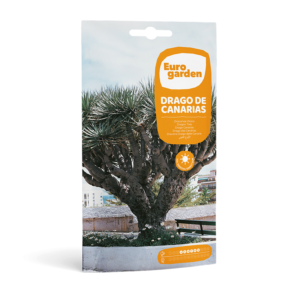 Drago de Canarias 6 semillas Eurogarden -17408000