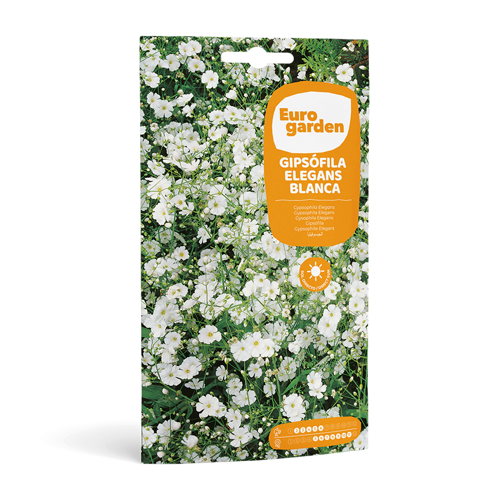 Gipsòfila Elegans Blanca 6 g Eurogarden -17413000