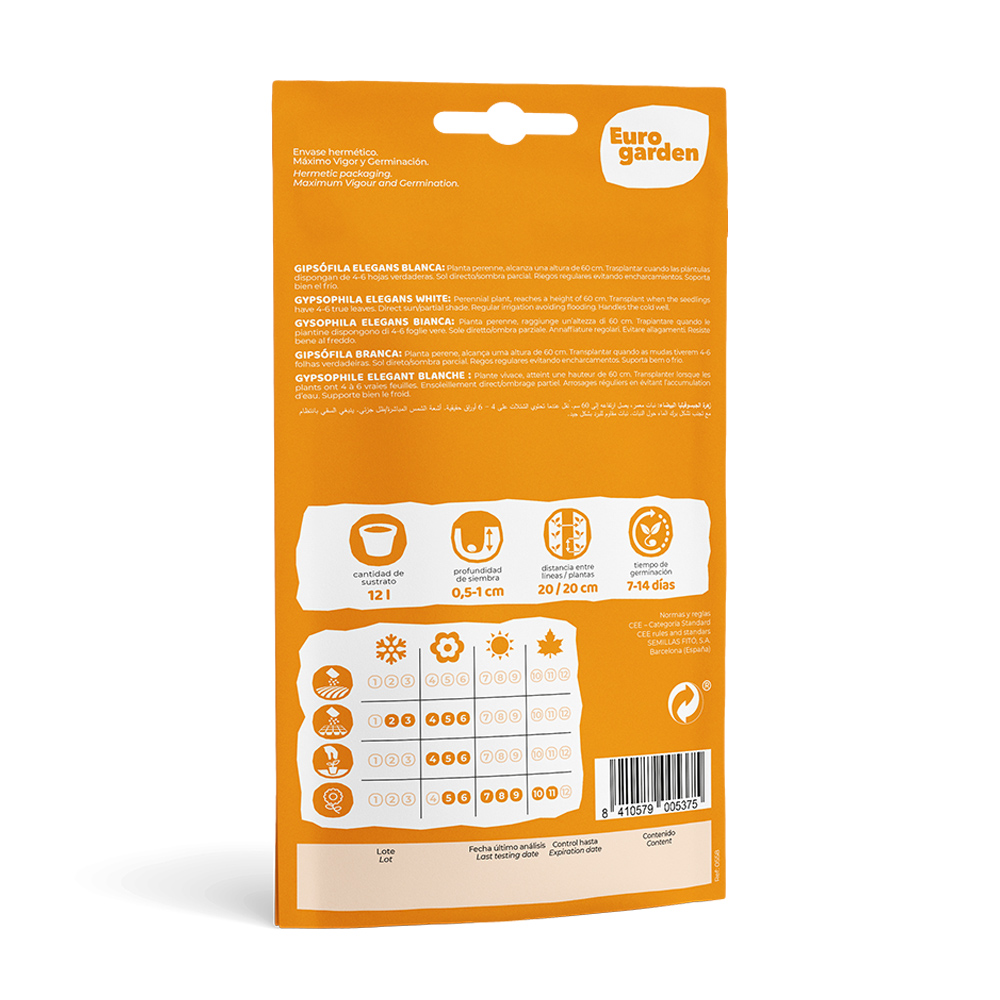 Gipsòfila Elegans Blanca 6 g Eurogarden -17413000