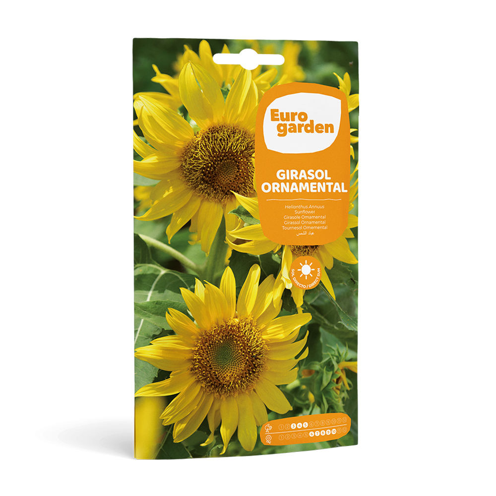 Girasol Ornamental 8 g Eurogarden -17414000