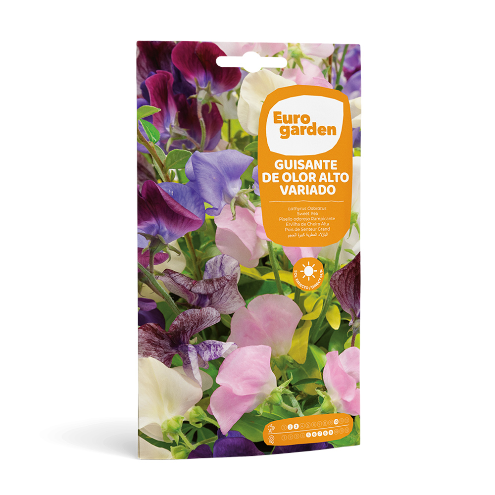 Pèsol Olor Alto Variado 6 g Eurogarden -17416000