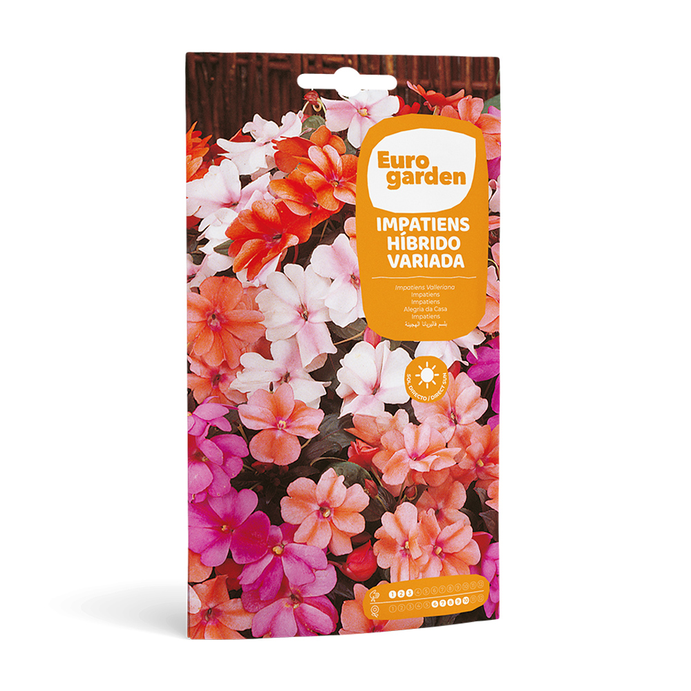 Impatiens Híbrido Variado 0,2 g Eurogarden -17418000