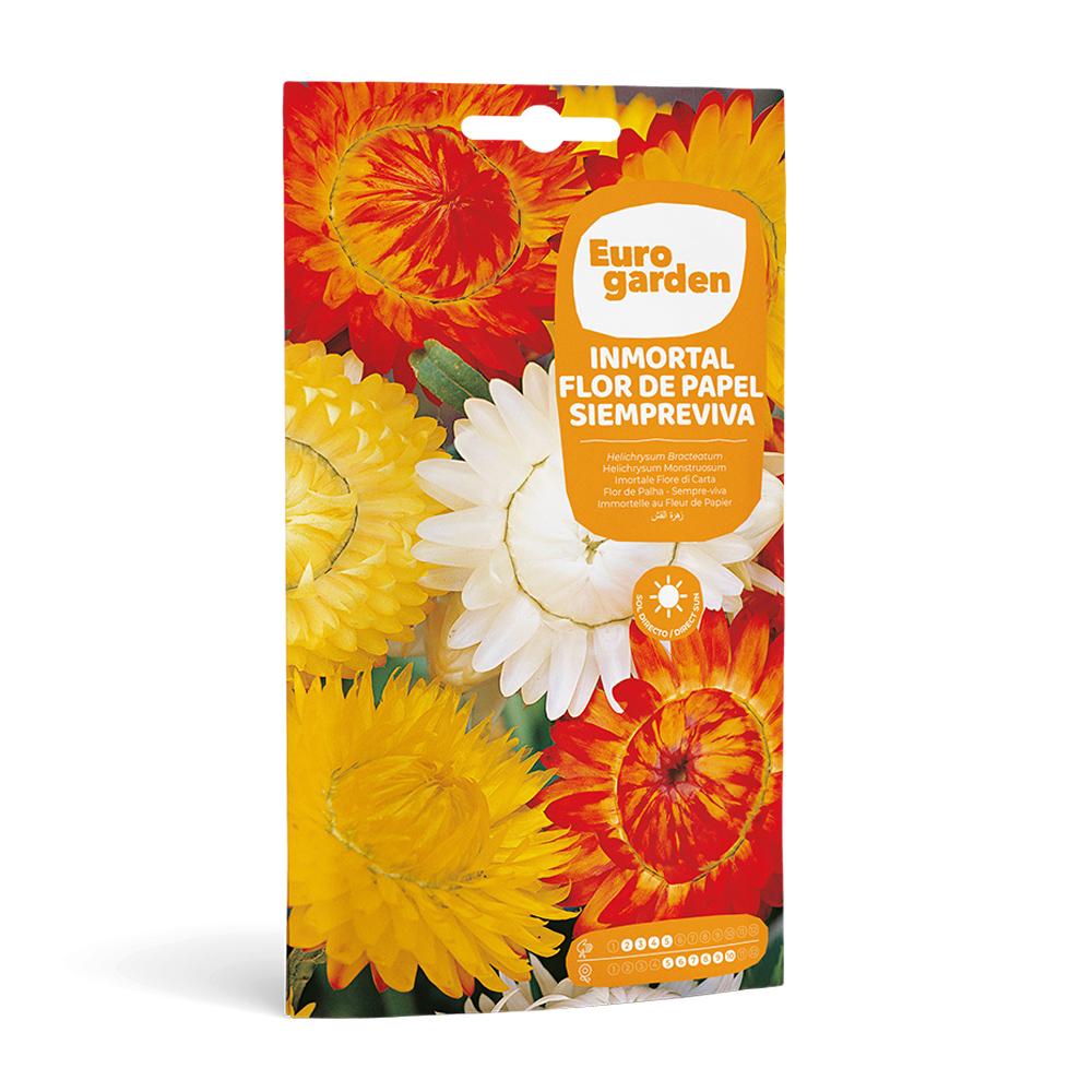 Inmortal Flor de Papel - Siempreviva 2 g Eurogarden -17419000