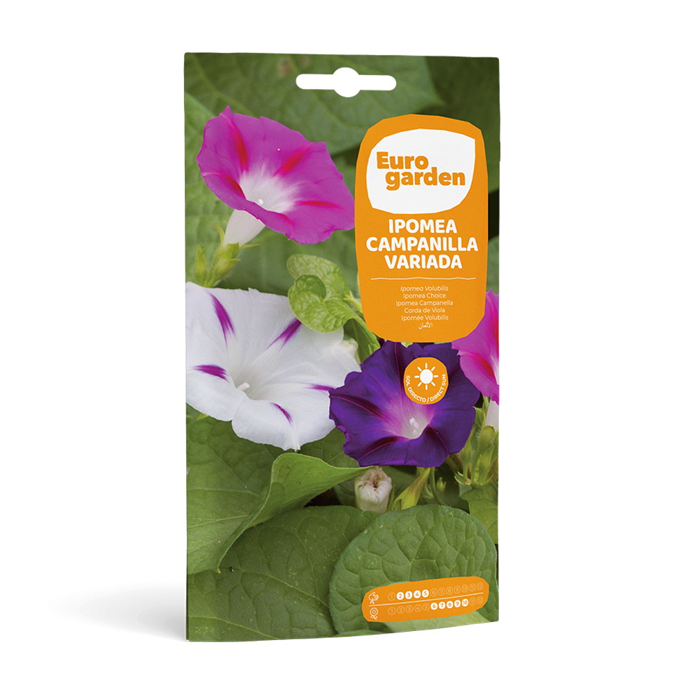 Ipomea Campanilla Variada 6 g Eurogarden -17421000