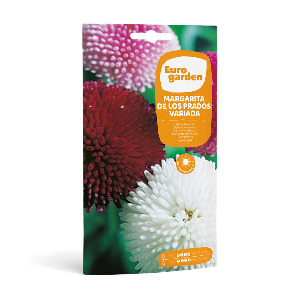 Margarida de los Prados Variada 0,43 g Eurogarden -17422000