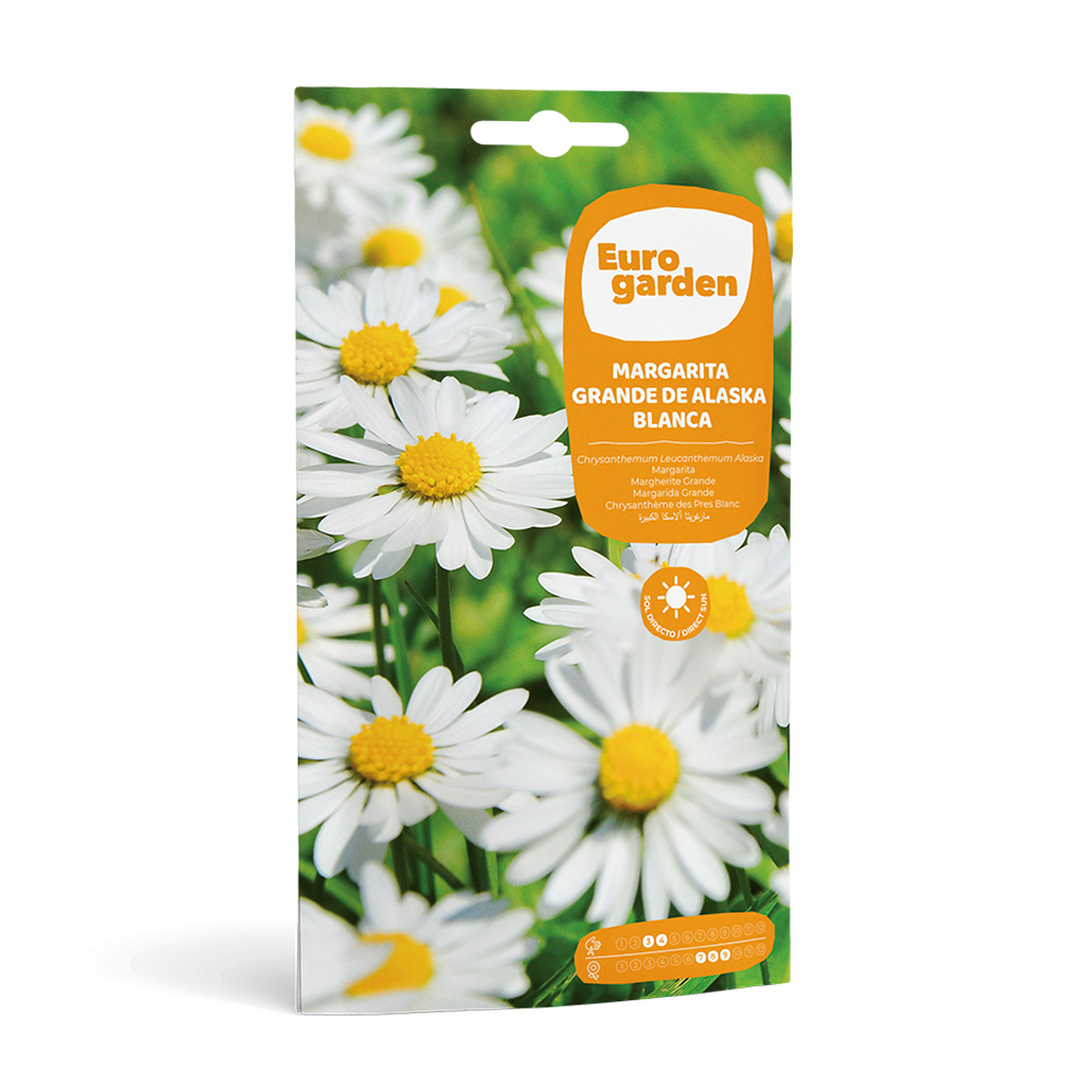 Margarida Grande de Alaska Blanca 2 g Eurogarden -17423000