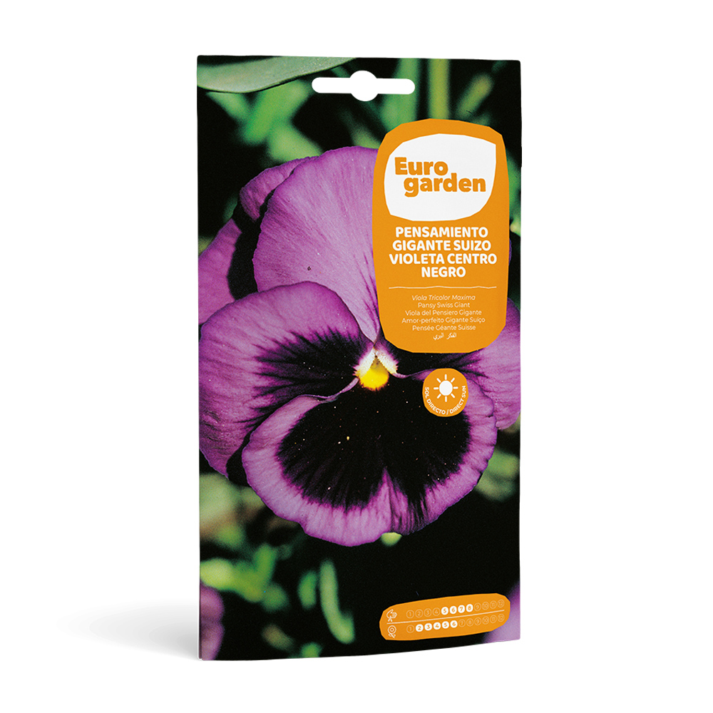 Pensament Gigante Suizo Violeta Centro Negro 0,4 g Eurogarden -17427000