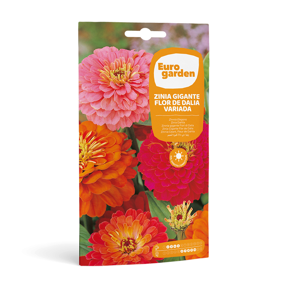 Zinia Gigante Flor de Dalla Variada 4 g Eurogarden -17443000
