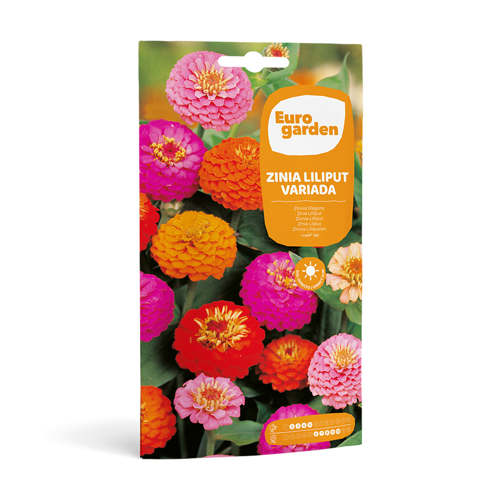 Zinia Liliput Variada 4 g Eurogarden -17444000