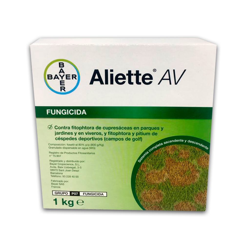 Aliette AV-196580010