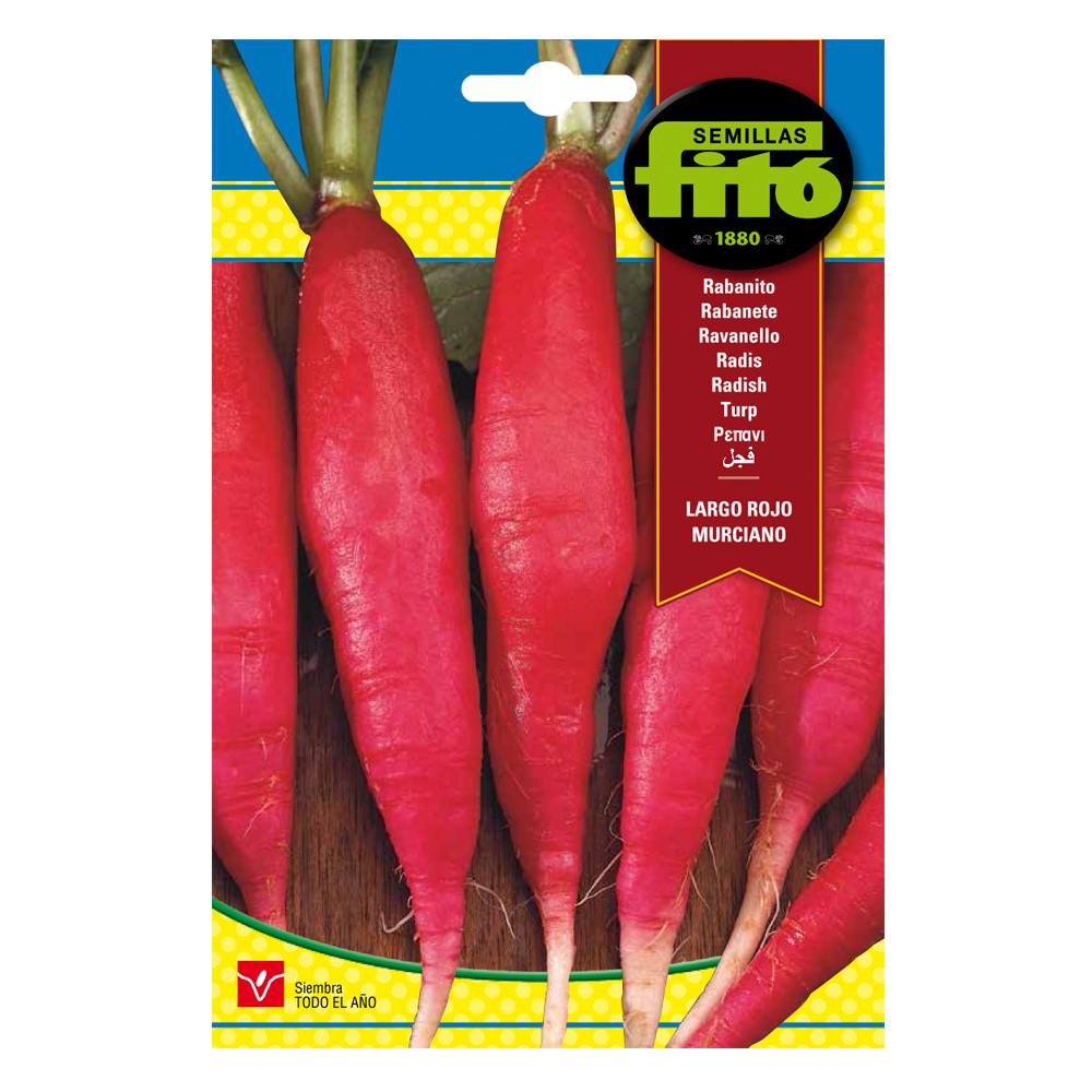 Rabanito Largo Rojo Murciano -21936000