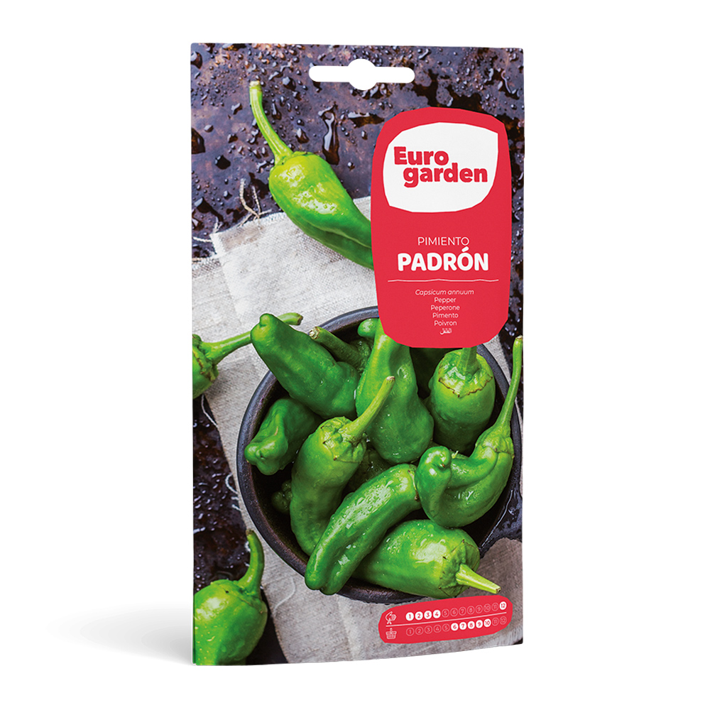 Pebrot Padrón 2 g Eurogarden -22792000