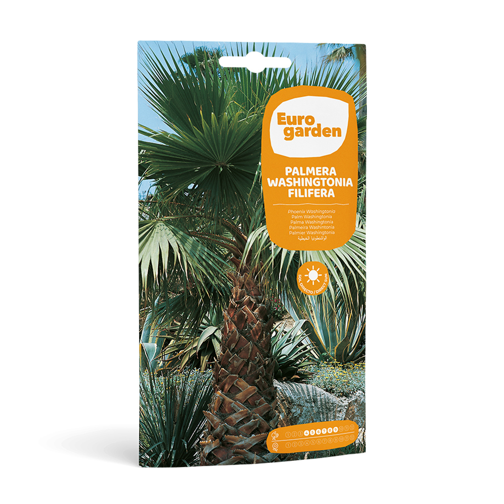 Palmera Washington Filifera 7 semillas Eurogarden -23425000
