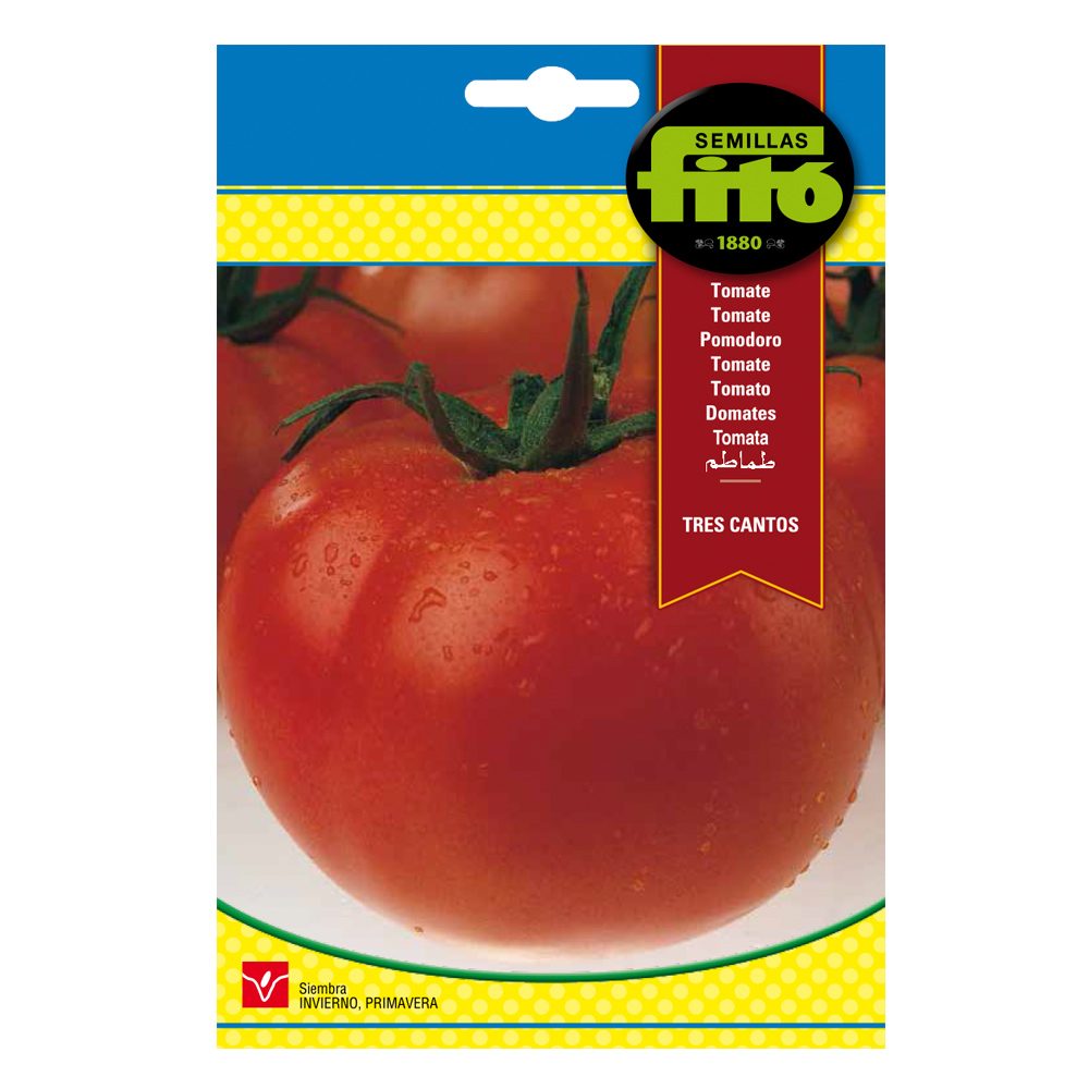 Tomàquet Tres Cantos-24497000