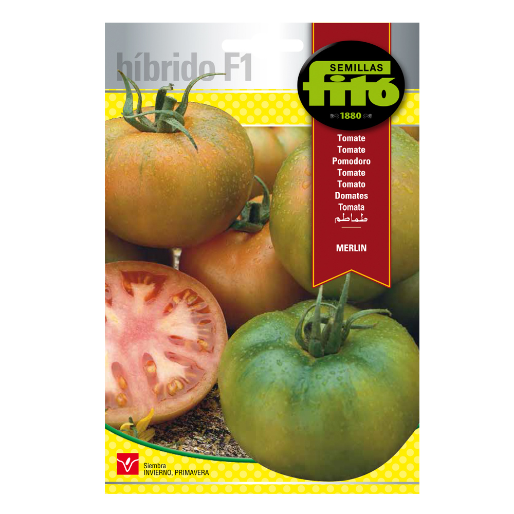 Tomàquet Merlín Híbrid Fitó-24541000