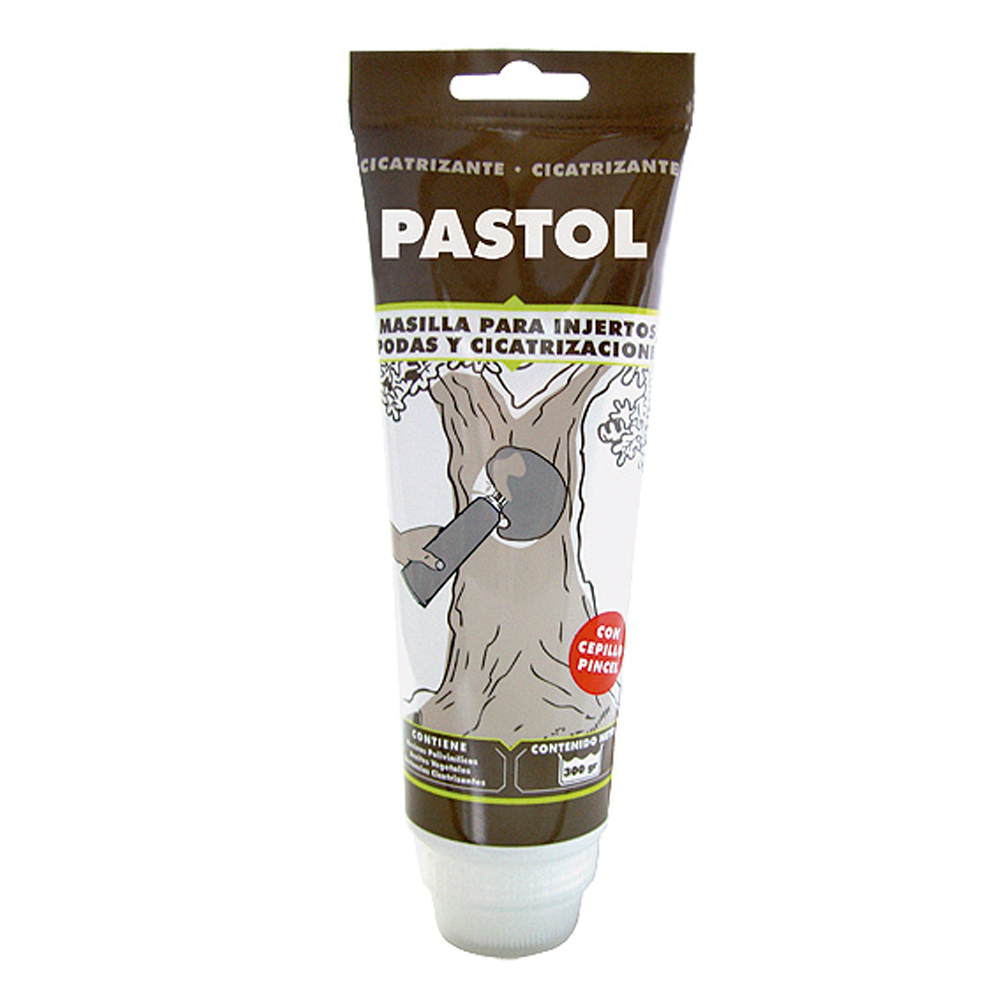 Pastol-251420810