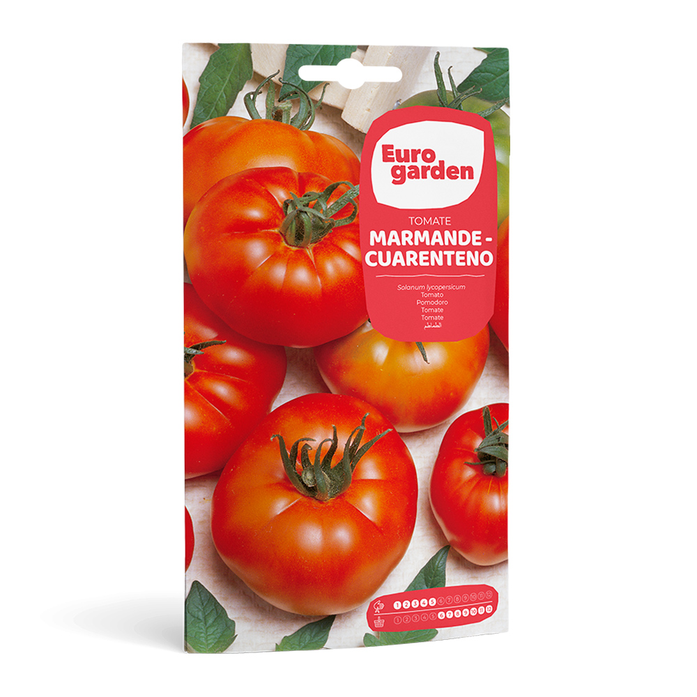 Tomate Raf 2 g Eurogarden -27889000