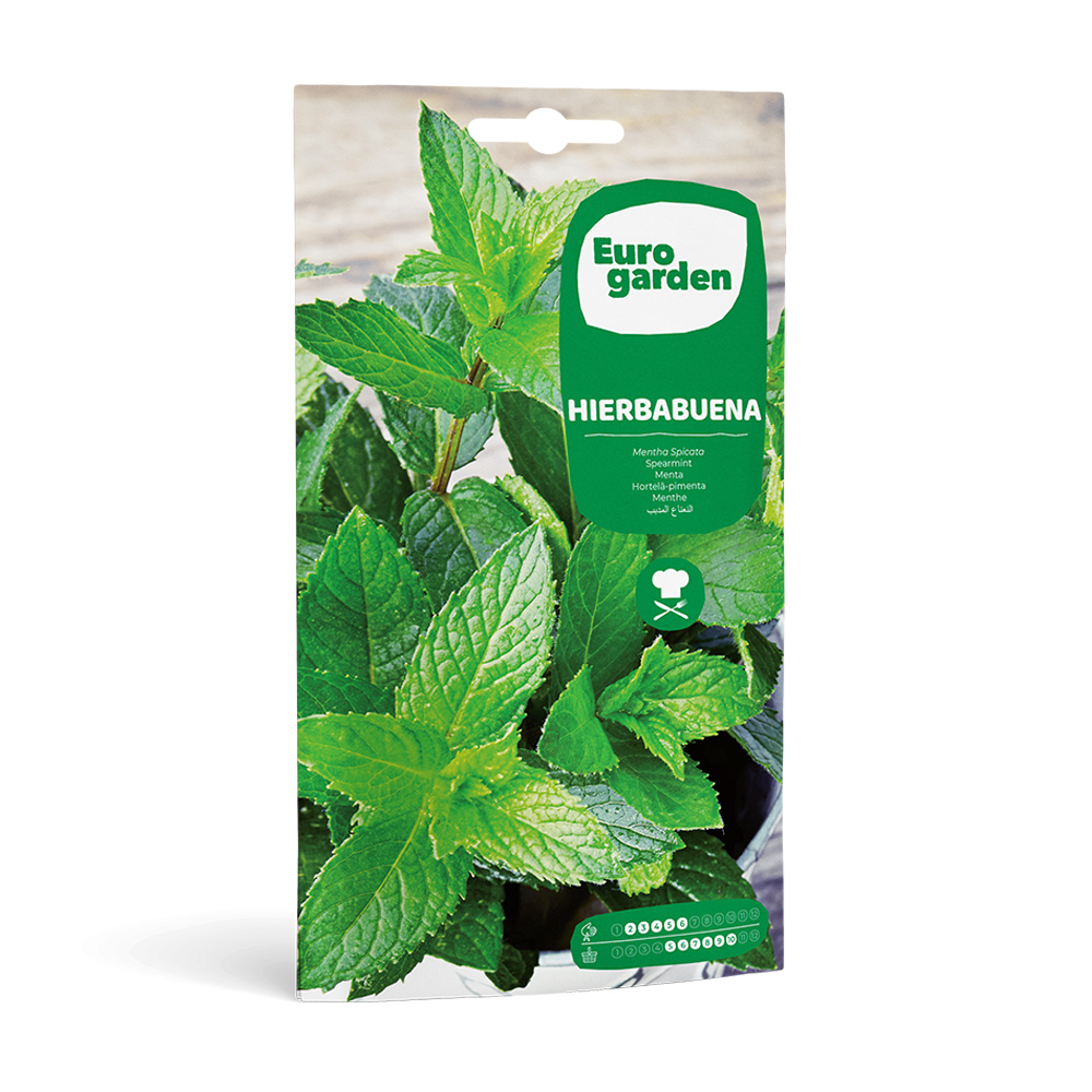 Hierbabuena 0,1 g Eurogarden -27923000