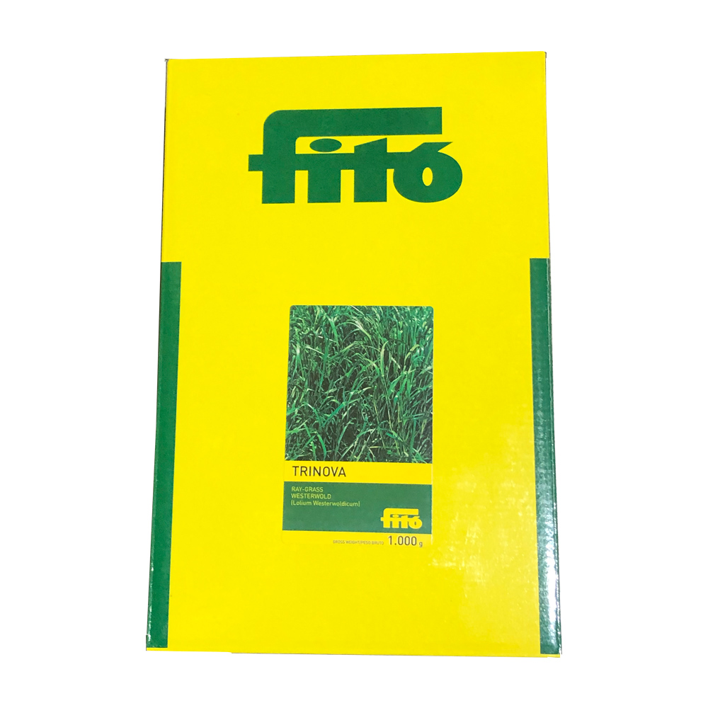 Raygrass westerworld Trinova-281770010