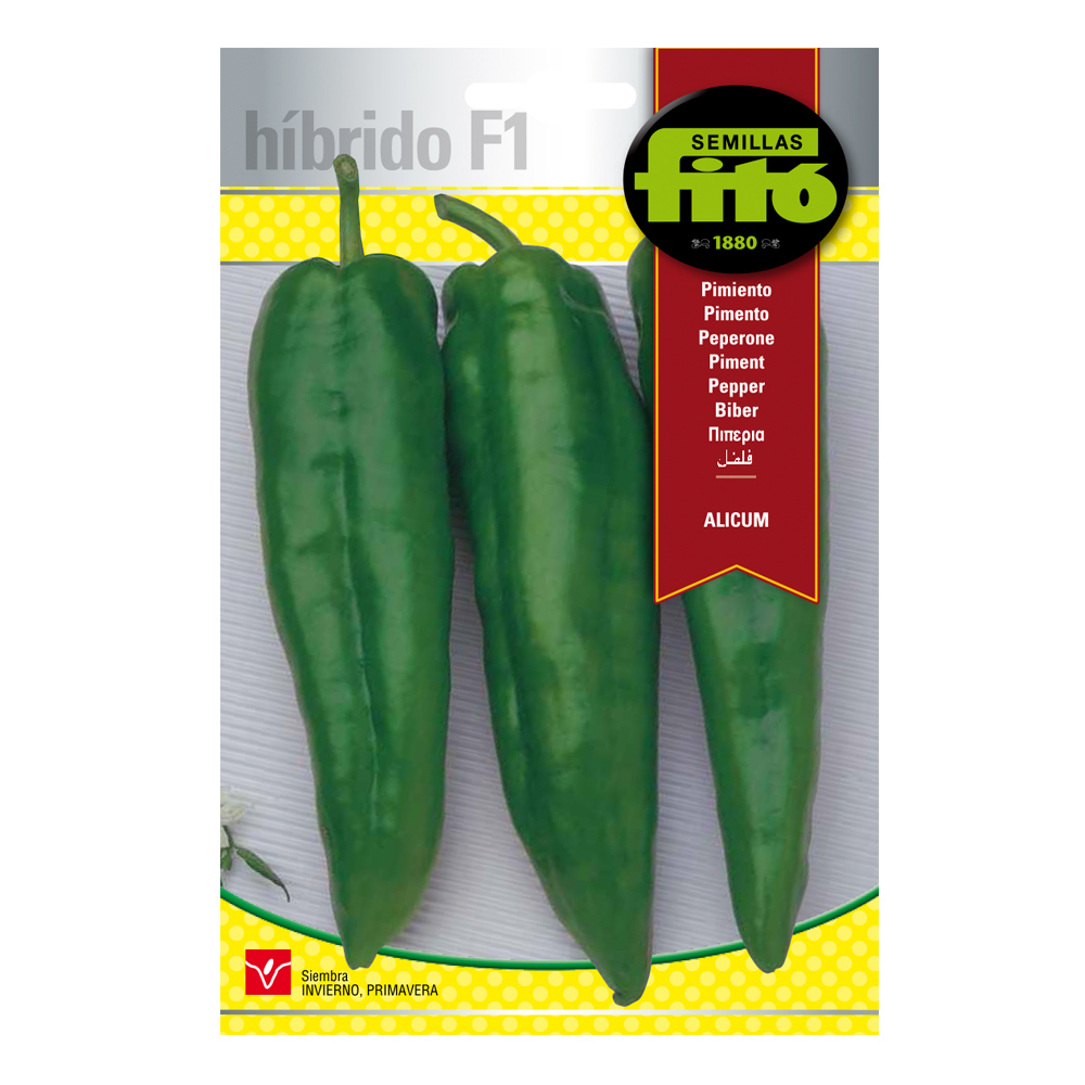 Pebrot Alicum Híbrid Fitó-30066000